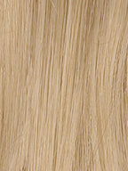 LIGHT BLONDE 25.23.26 | Lightest Golden Blonde and Lightest Pale Blonde with Light Golden Blonde Blend