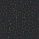 Onyx Trails