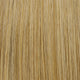 Poppy Seed 22MB