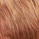 Strawberry Pie 27MBF