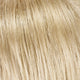 Vanilla Bean 22