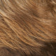 Bavarian Crème 24BT18F