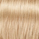 Marzipan 24