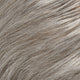 Oyster Mushroom 56/51