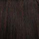 Chocolate Raspberry Truffle 4/33