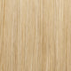 Poppy Seed 22MB