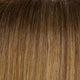 Shaded Pralines n' Cream 14/26S10