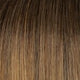 Shaded Mocha 24B18S8