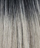 CHROMERT1B
