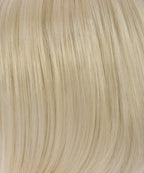 Ponytail Spring Clip - WCLC9