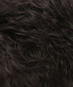 Hallie – Front Lace Line