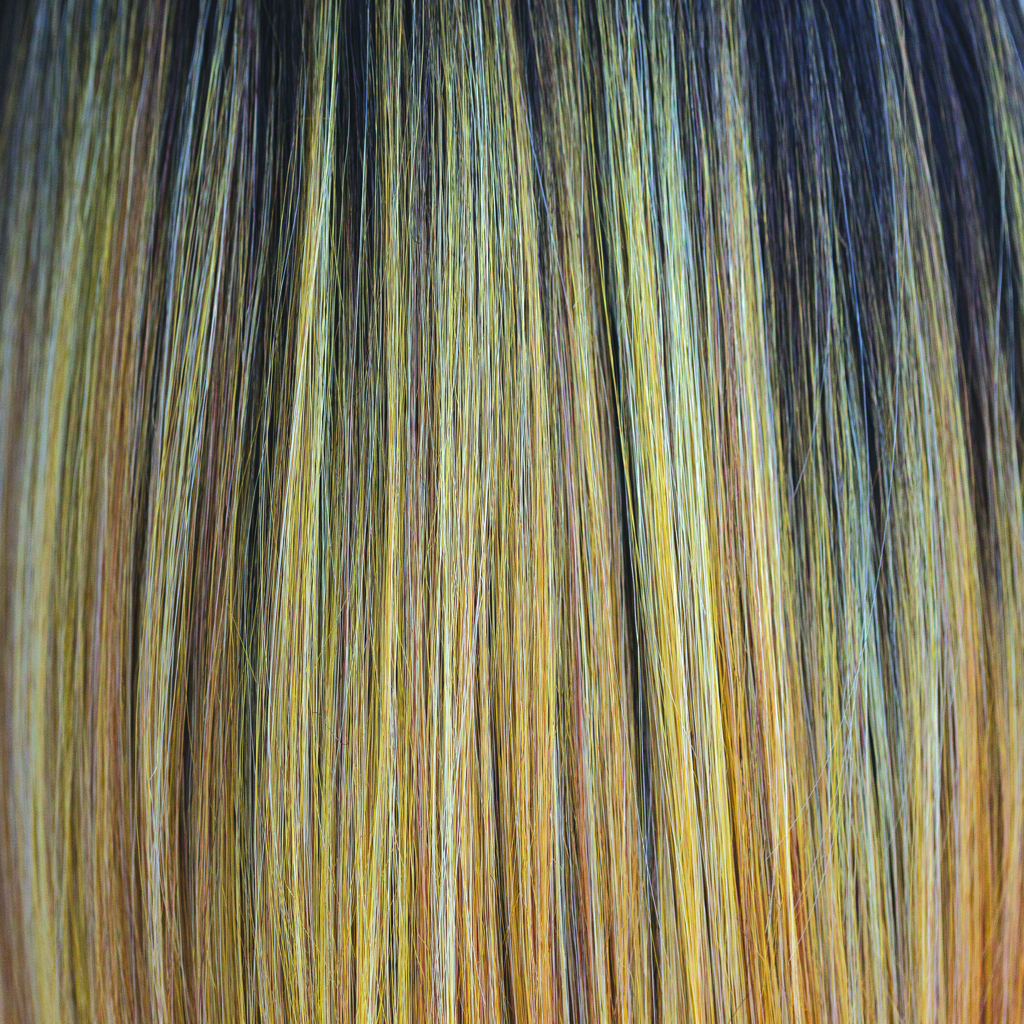 Sunkiss  -  A medium brown rooted color which is highlighted throughout the blonds.Â Variety of warm shades, blends of honey gold and Tuscan sun. Heat Friendly.