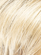 CHAMPAGNE SHADED 23.22.19 | Lightest Pale Blonde and Light Neutral Blonde with Light Honey Blonde Blend and Shaded Roots