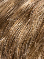 LIGHT BERNSTEIN MIX 12.19.26 | Lightest Brown blended with Light Honey and Light Golden Blonde Blend