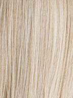 CHAMPAGNE MIX 24.22.15 | Lightest Ash Blonde and Light Neutral Blonde with Light Ash Blonde Blend