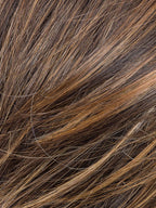 COFFEE BROWN LIGHTED 6.8.20 | Dark Brown and Medium Brown with Light Strawberry Blonde Blend with Highlights Throughout and Concentrated in the Front