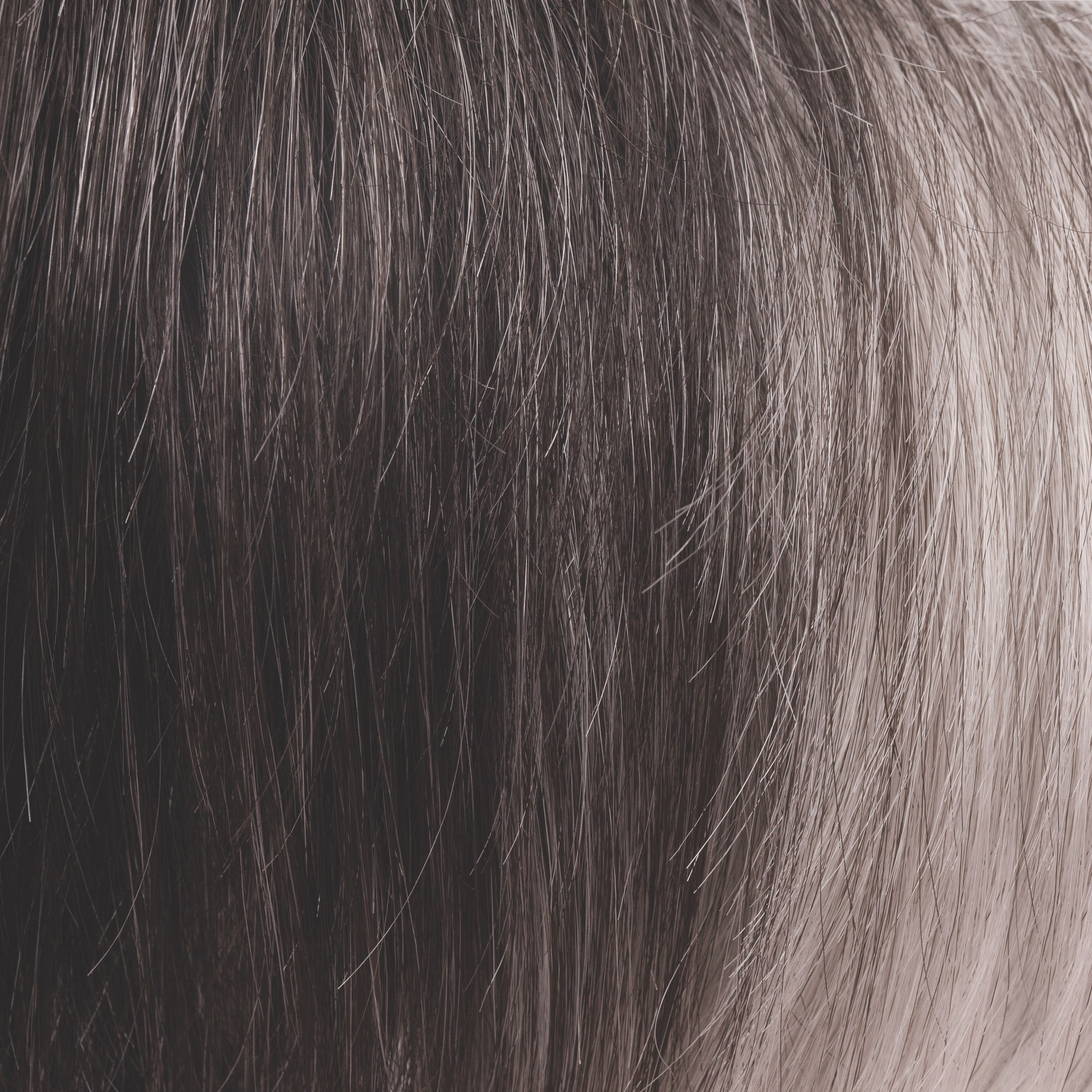 Midnight Pearl  -  A smoky fused gray stone base with off-black roots. This cool, unique and stunning gray gives a lush appearance that enhances any style with a beauty boost.
