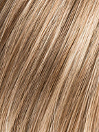 DARK SAND MIX 12.14.24 | Dark ash blonde blended with medium ash blonde and light brown