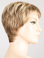 BERNSTEIN MIX 12.16.26 | Lightest Brown and Medium Blonde with Light Gold Blonde Blend and Shaded Roots | DISCONTINUED COLOR