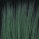 Smoky Forest