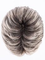 SALT/PEPPER ROOTED 39.60.44 | Darkest and Dark Brown with Grey and Pearl White Blend with Shaded Roots