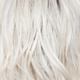 White Rose Blond-R