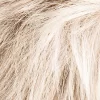 ew_snow_mix