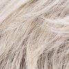 ew_silver-blonde-rooted